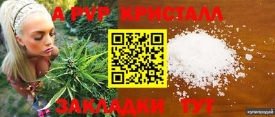 таблы Кингисепп