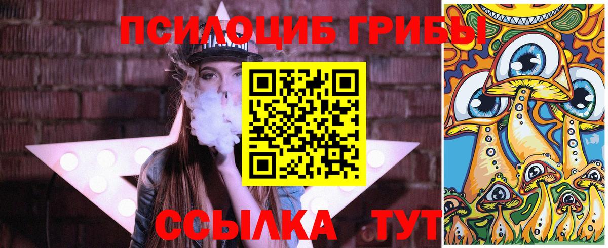 Коряжма  Галлюциногенные грибы мухоморы  Вход с VPN 