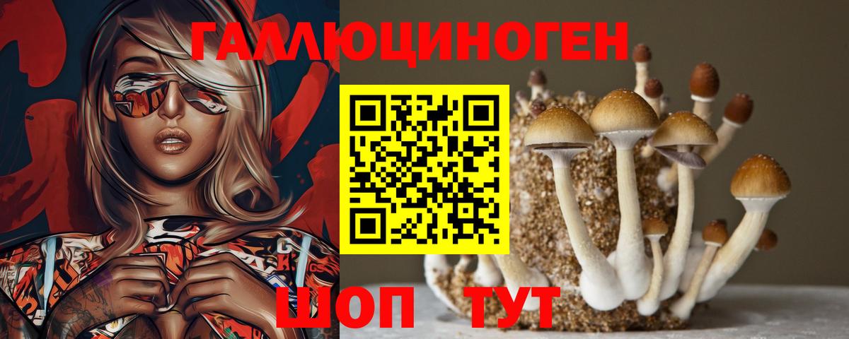 Галлюциногенные грибы Magic Shrooms Коряжма